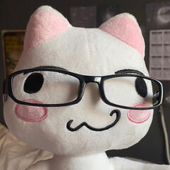 a cat plushy with glasses stolen off of pinterest.